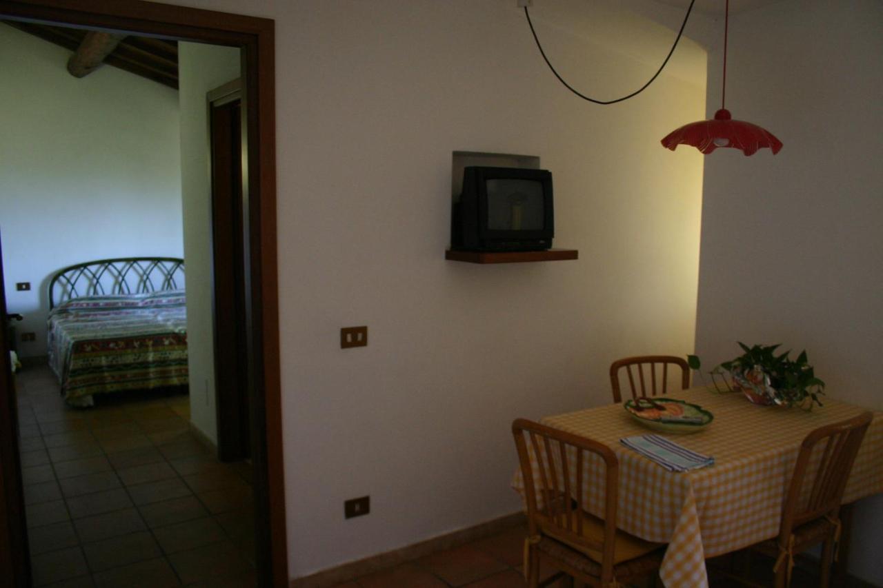 Agriturismo Oliveto Di Geltrude Contessa アメリア エクステリア 写真