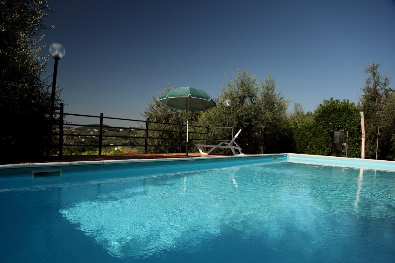 Agriturismo Oliveto Di Geltrude Contessa アメリア エクステリア 写真