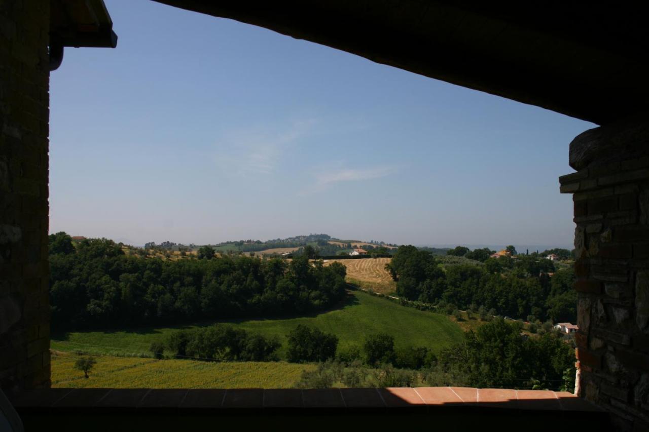 Agriturismo Oliveto Di Geltrude Contessa アメリア エクステリア 写真
